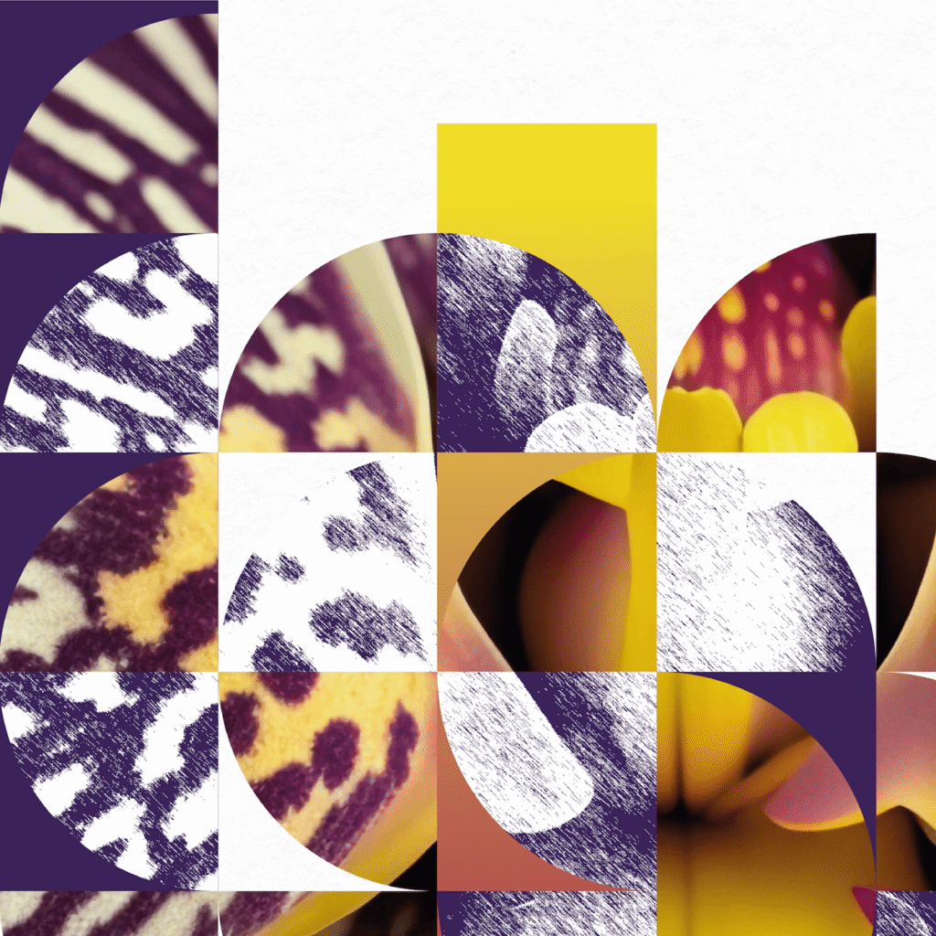 Detalle de la composición