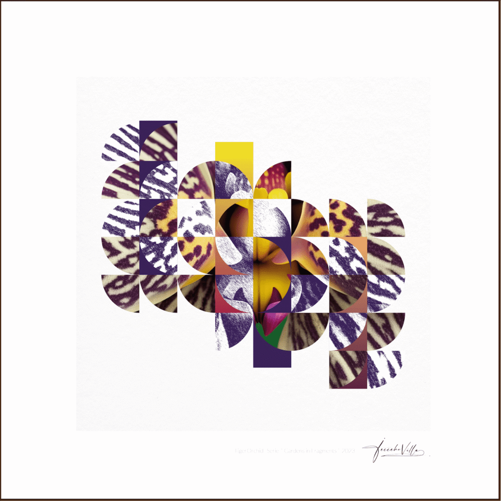 Obra: Orquídea Tigre