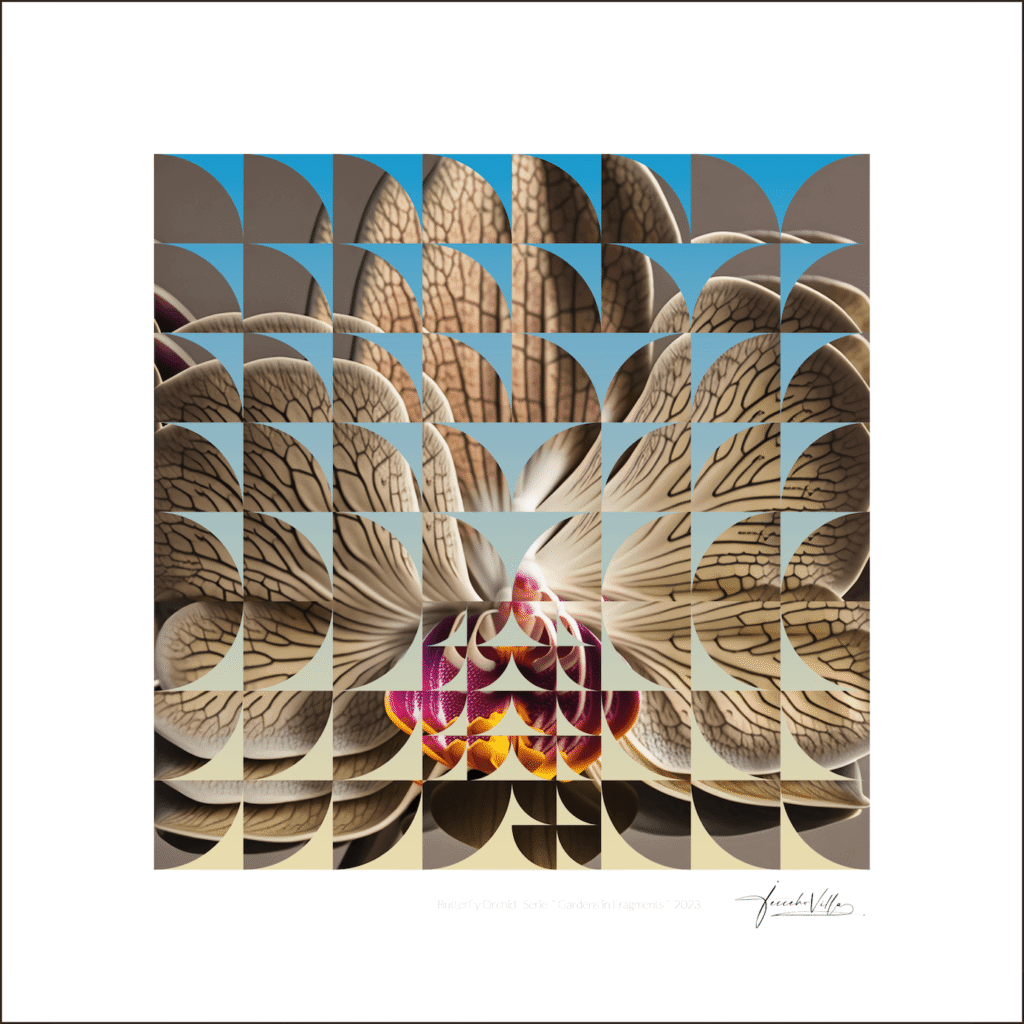 Obra: Orquídea Mariposa