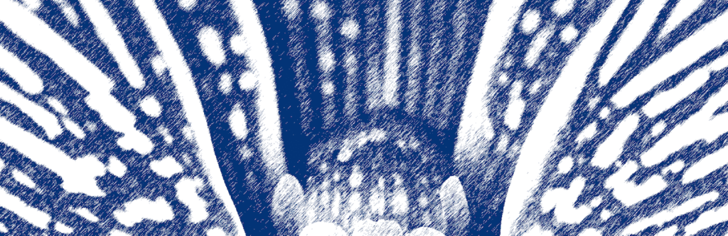 Orquídea con efectos de textura