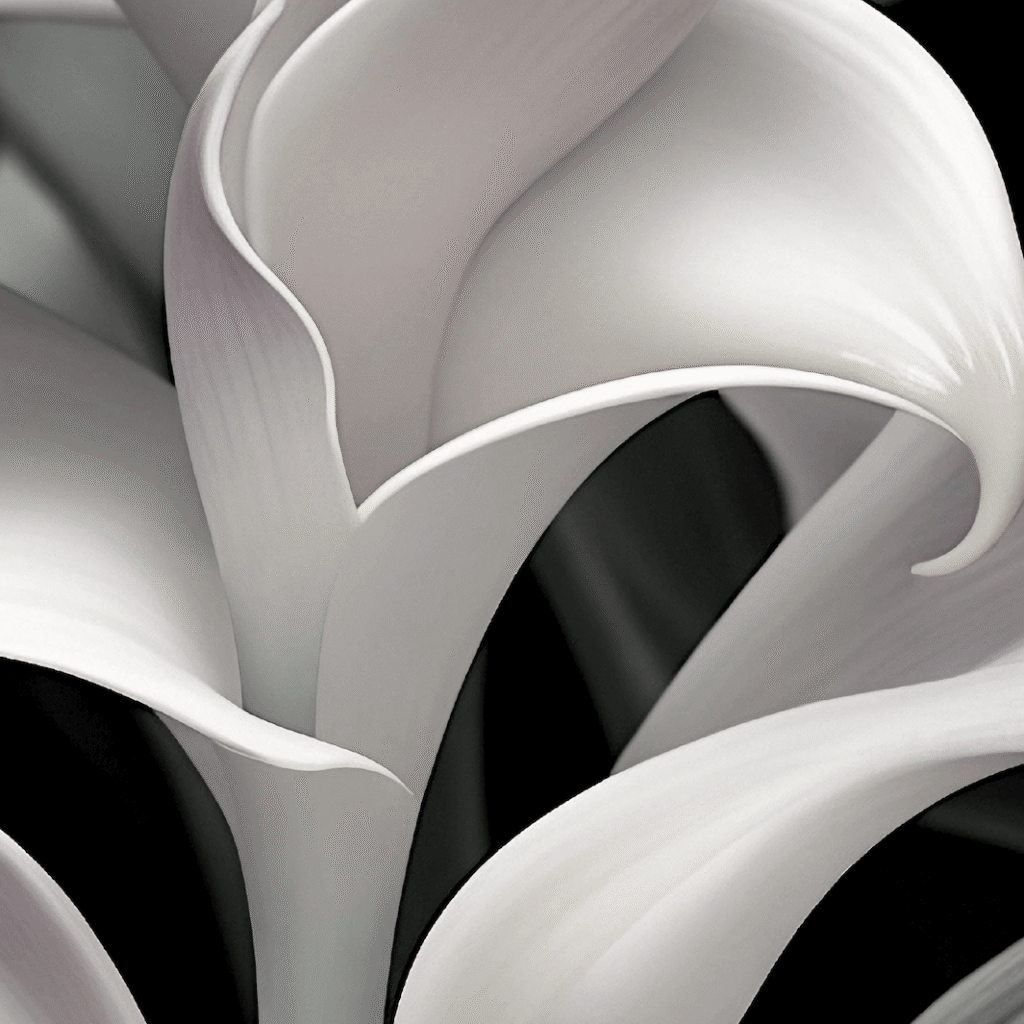 Cala, Imagen Original